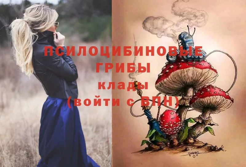 Галлюциногенные грибы Magic Shrooms  Медынь 